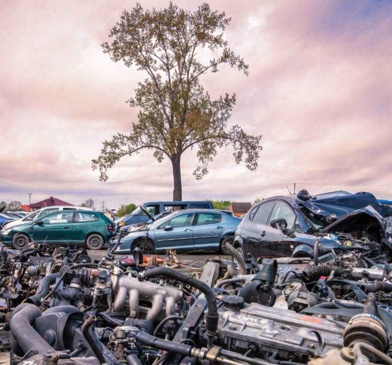 Auto kasacja Szczecinek Kasacja Przybychowo